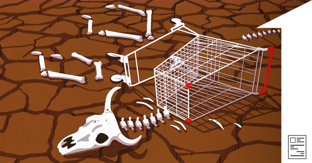 Recover Lost Sales: 16 Amazing Abandoned Cart Emails (And What You Can Learn From Them)